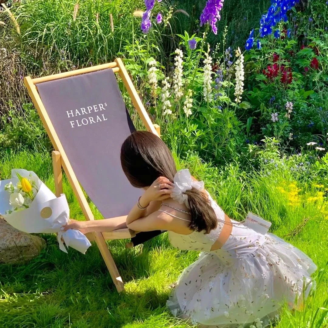 爱在三万英尺之上